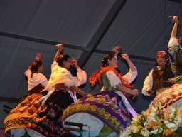 Festival de Folkore en Mula